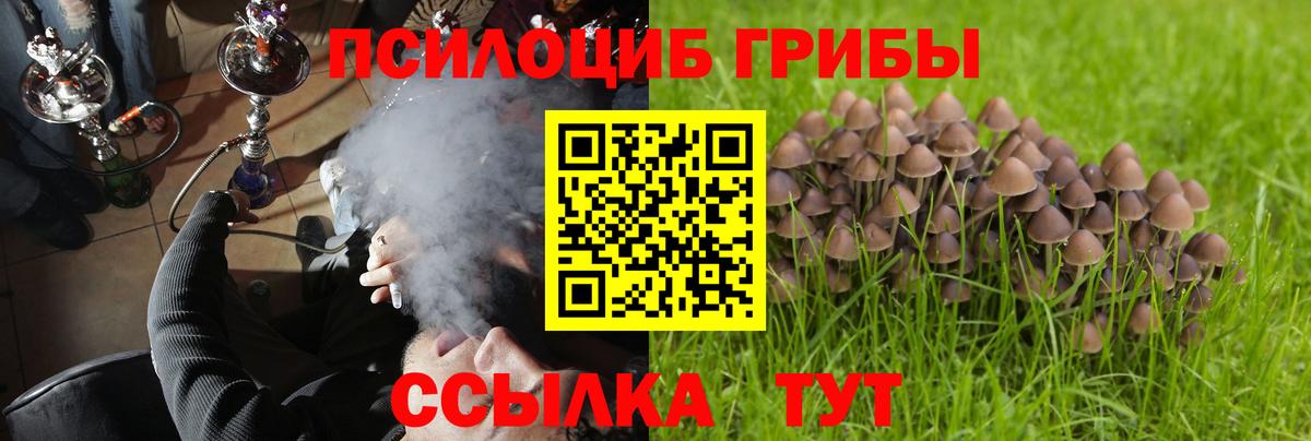 Коммунар  Псилоцибиновые грибы MAGIC MUSHROOMS  купить наркоту  Вход с VPN 